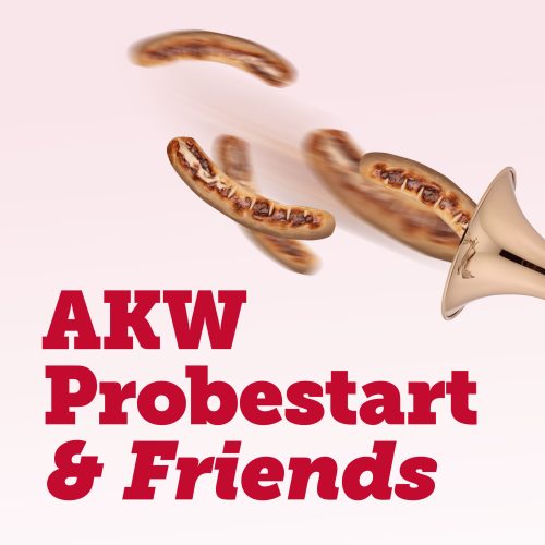 Cover_AKW_Probestart